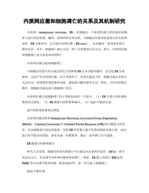 内质网应激和细胞凋亡的关系及其机制研究