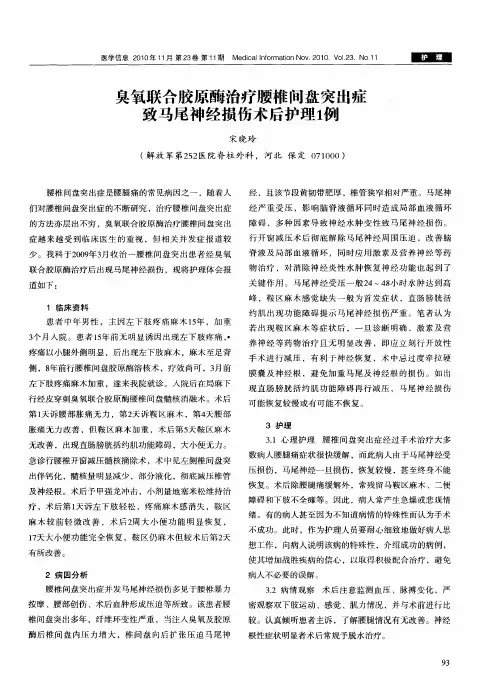 臭氧联合胶原酶治疗腰椎间盘突出症致马尾神经损伤术后护理1例