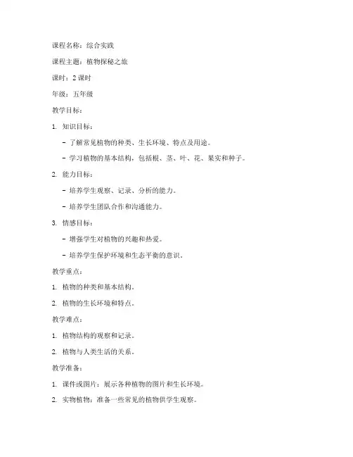 综合实践_植物_教案