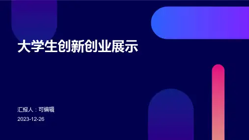 大学生创新创业展示PPT (2)