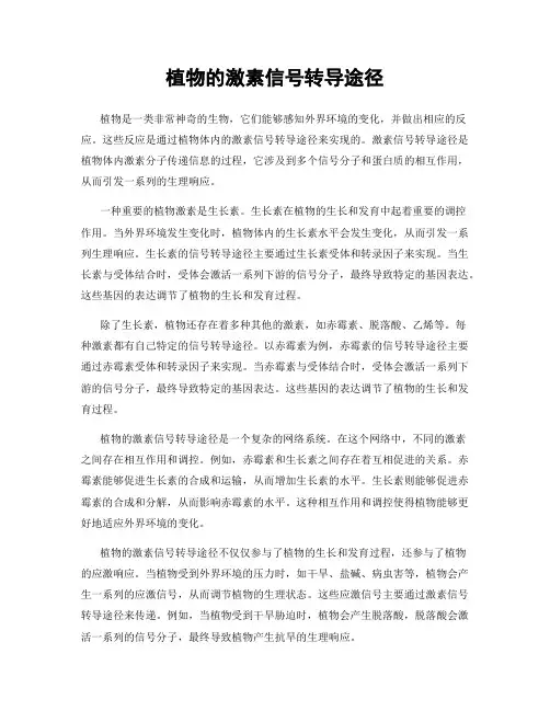 植物的激素信号转导途径
