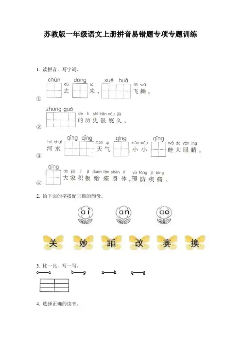 苏教版一年级语文上册拼音易错题专项专题训练