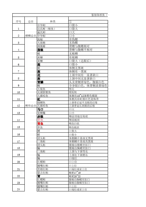 鱼类学课件-2016鱼类分类学整理(专业知识模板)
