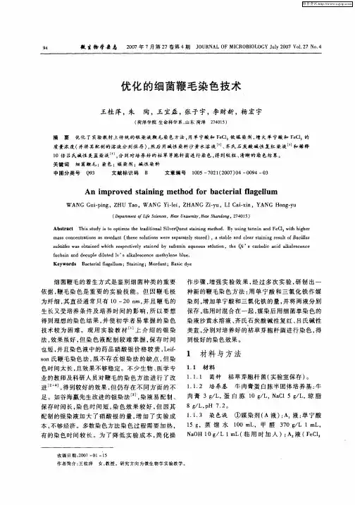 优化的细菌鞭毛染色技术