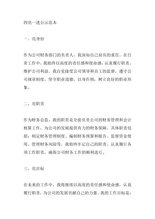 会计工作综述怎么写 范文