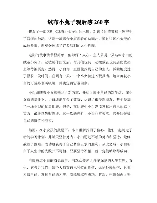 绒布小兔子观后感260字