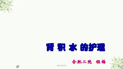 肾积水的护理课件