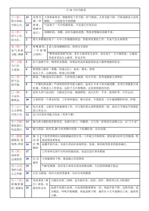 人体24小时工作表