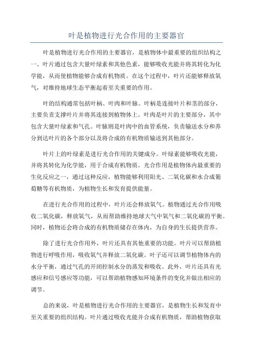 叶是植物进行光合作用的主要器官
