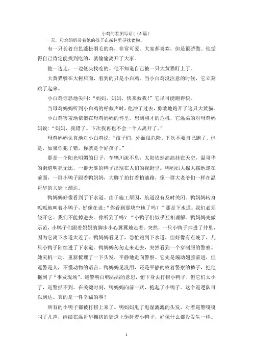 小鸡的看图写话((8篇)