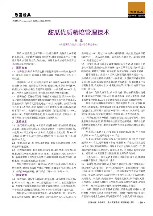 甜瓜优质栽培管理技术