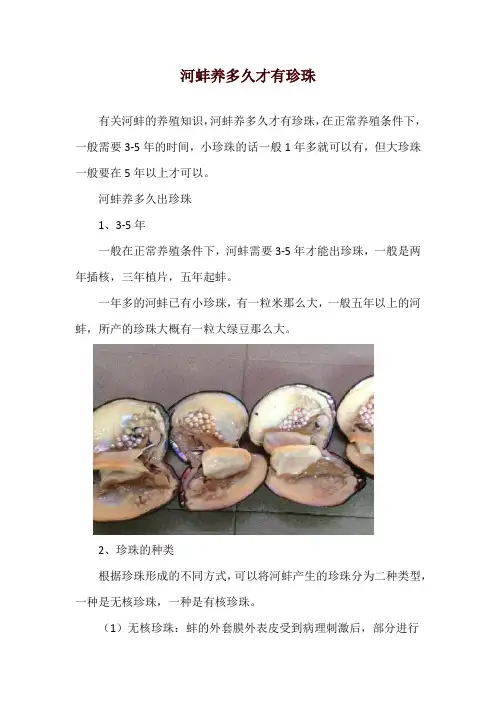河蚌养多久才有珍珠
