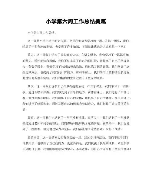小学第六周工作总结美篇