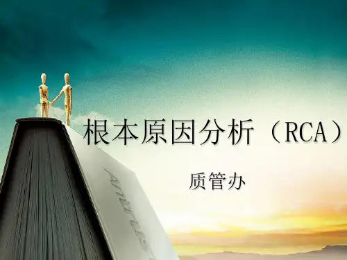 根本原因分析精神病人自杀RCA
