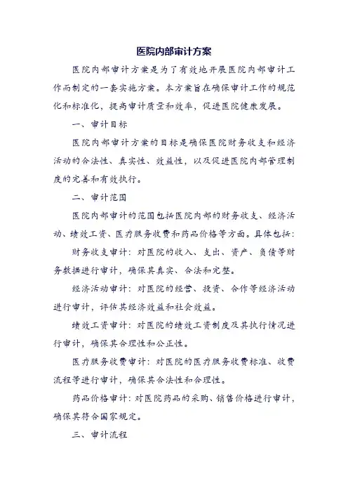 医院内部审计方案