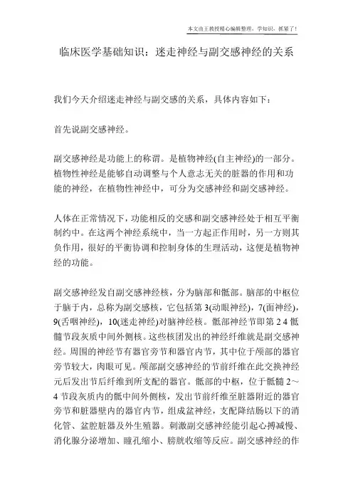 临床医学基础知识：迷走神经与副交感神经的关系
