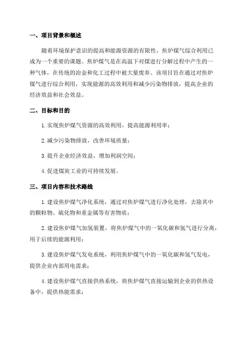 2024年焦炉煤气综合利用项目可行性研究报告