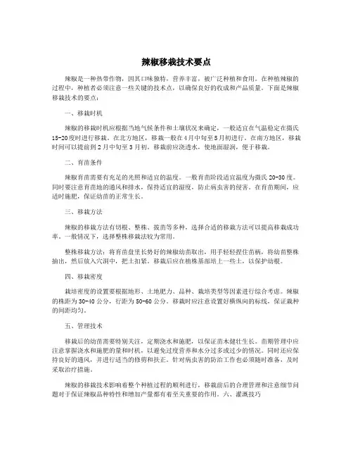 辣椒移栽技术要点
