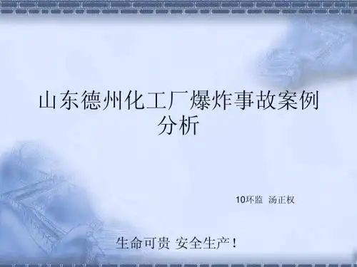 山东德州化工厂爆炸事故案例分析