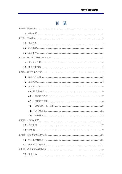 支洞进洞专项方案
