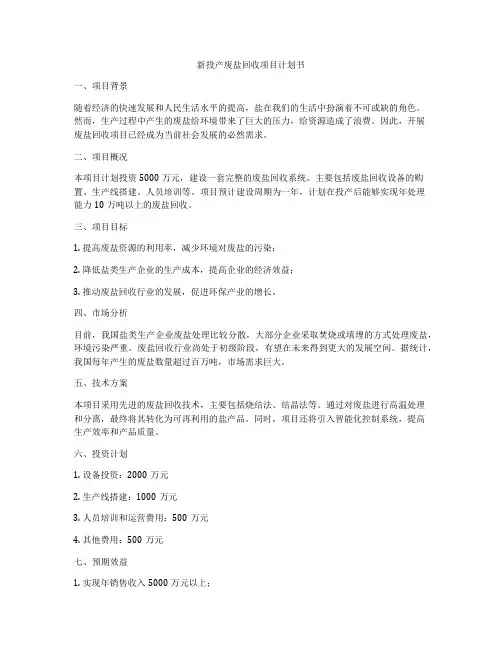 新投产废盐回收项目计划书