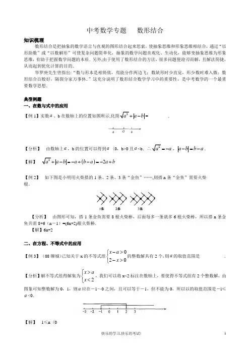 中考数学专题之数形结合