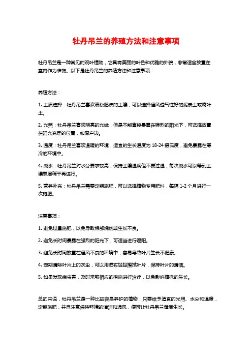 牡丹吊兰的养殖方法和注意事项