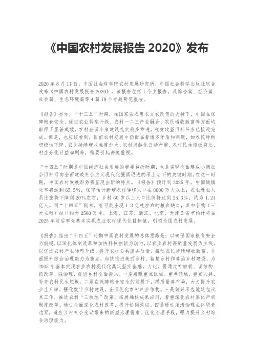 中国农村发展报告2020
