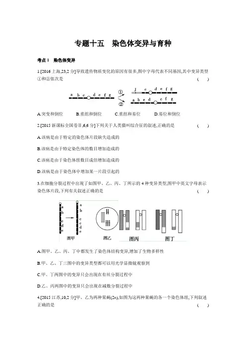 2019版高考生物一轮复习专题染色体变异与育种