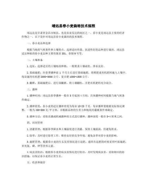 靖远县春小麦栽培技术规程