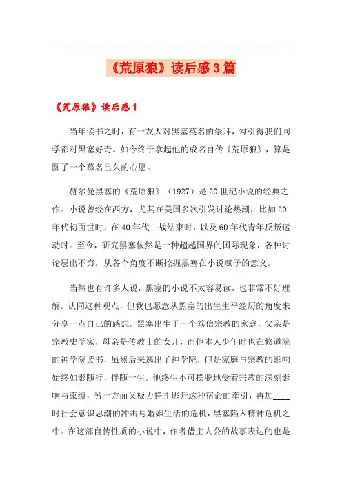 《荒原狼》读后感3篇