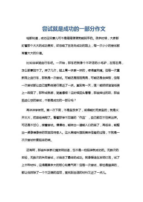 尝试就是成功的一部分作文