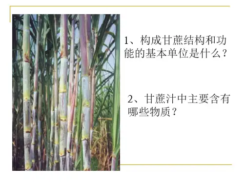浙教版七年级科学上册4.1物质的构成1