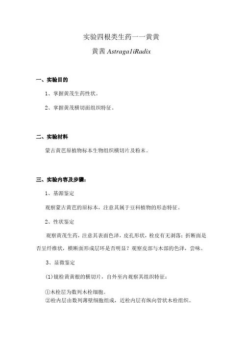 包医大生药学实验指导04根类生药——黄芪
