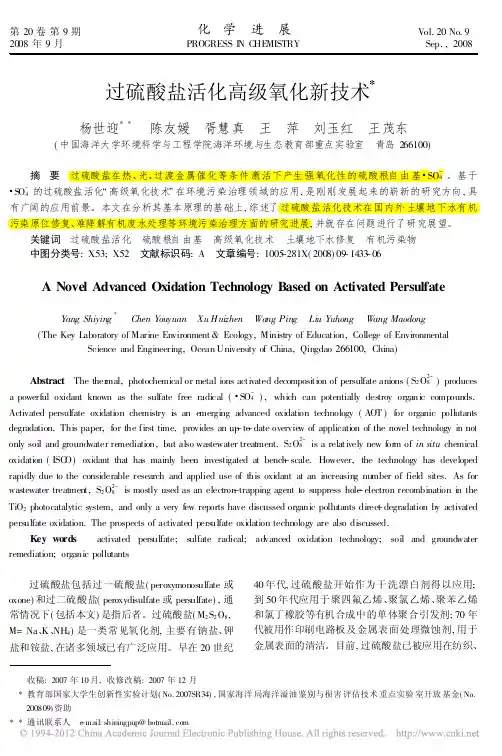 过硫酸盐活化高级氧化新技术_杨世迎