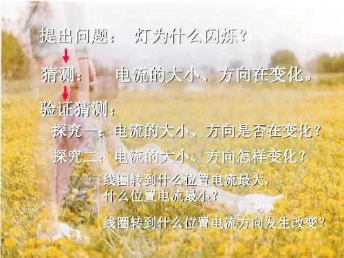 发电机PPT精品课件