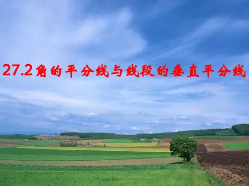 角平分线和线段垂直平分线(整理2019年11月)