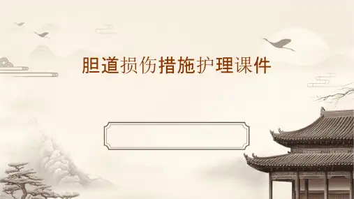 胆道损伤措施护理课件
