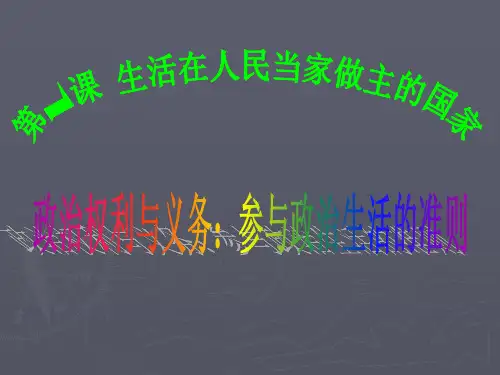 人教版高中思想政治必修2 政治权利与义务 PPT课件