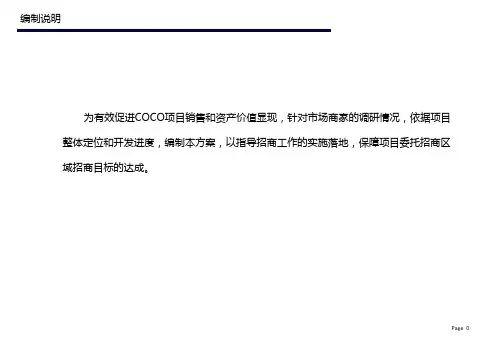 招商执行方案模板定课件