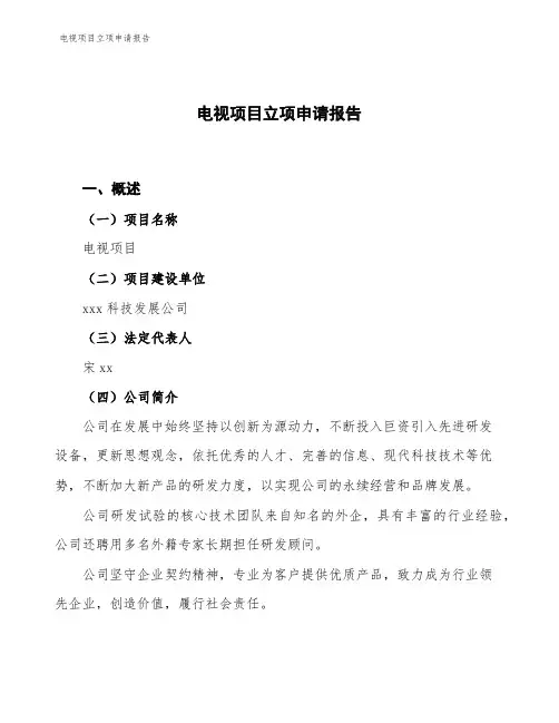电视项目立项申请报告