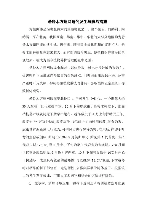 悬铃木方翅网蝽的发生与防治措施