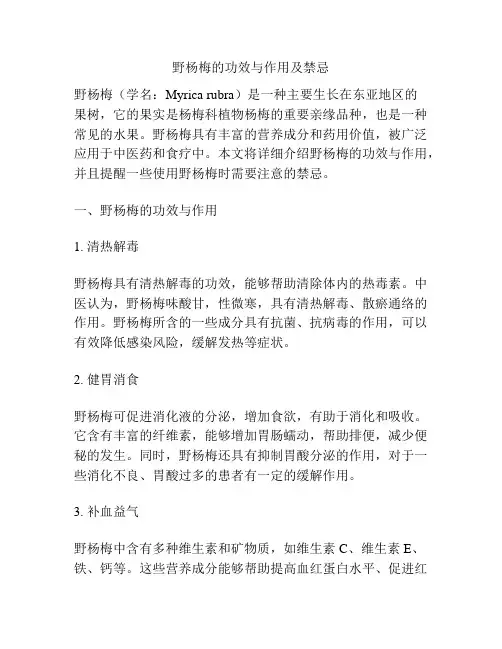 野杨梅的功效与作用及禁忌