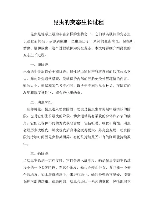 昆虫的变态生长过程