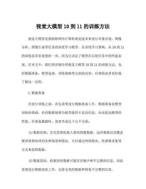 视觉大模型l0到l1的训练方法