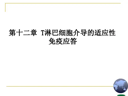 C12 T细胞介导的适应性免疫应答(医学免疫学)