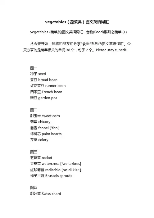 vegetables（蔬菜类）图文英语词汇