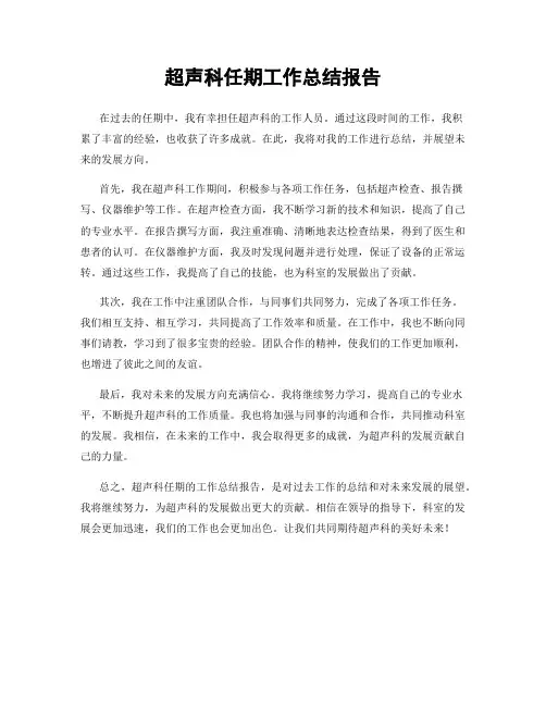 超声科任期工作总结报告