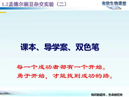 (新教材)高中生物《孟德尔的豌豆杂交实验(二)》PPT完整版人教版1