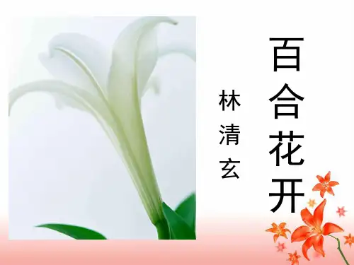 《百合花开》参考课件(1)